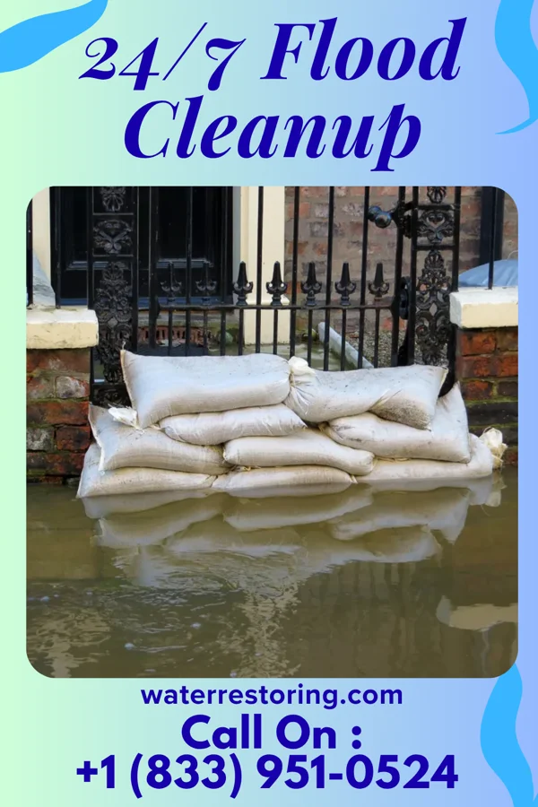 24/7 Flood Cleanup in Campo Verde, TX